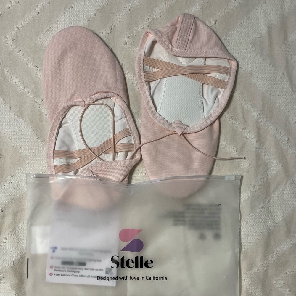 Stelle Soft Pink Ballet Flats